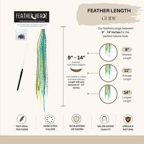 Feather Headz hair extensions displayed with styling tools