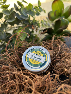 Feret Parfumeur balm in hand, demonstrating its smooth application