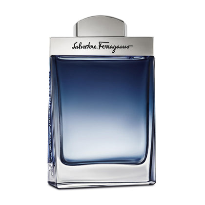 Ferragamo Subtil Pour Homme Eau de Toilette 3.4 Fl. Oz. bottle front view