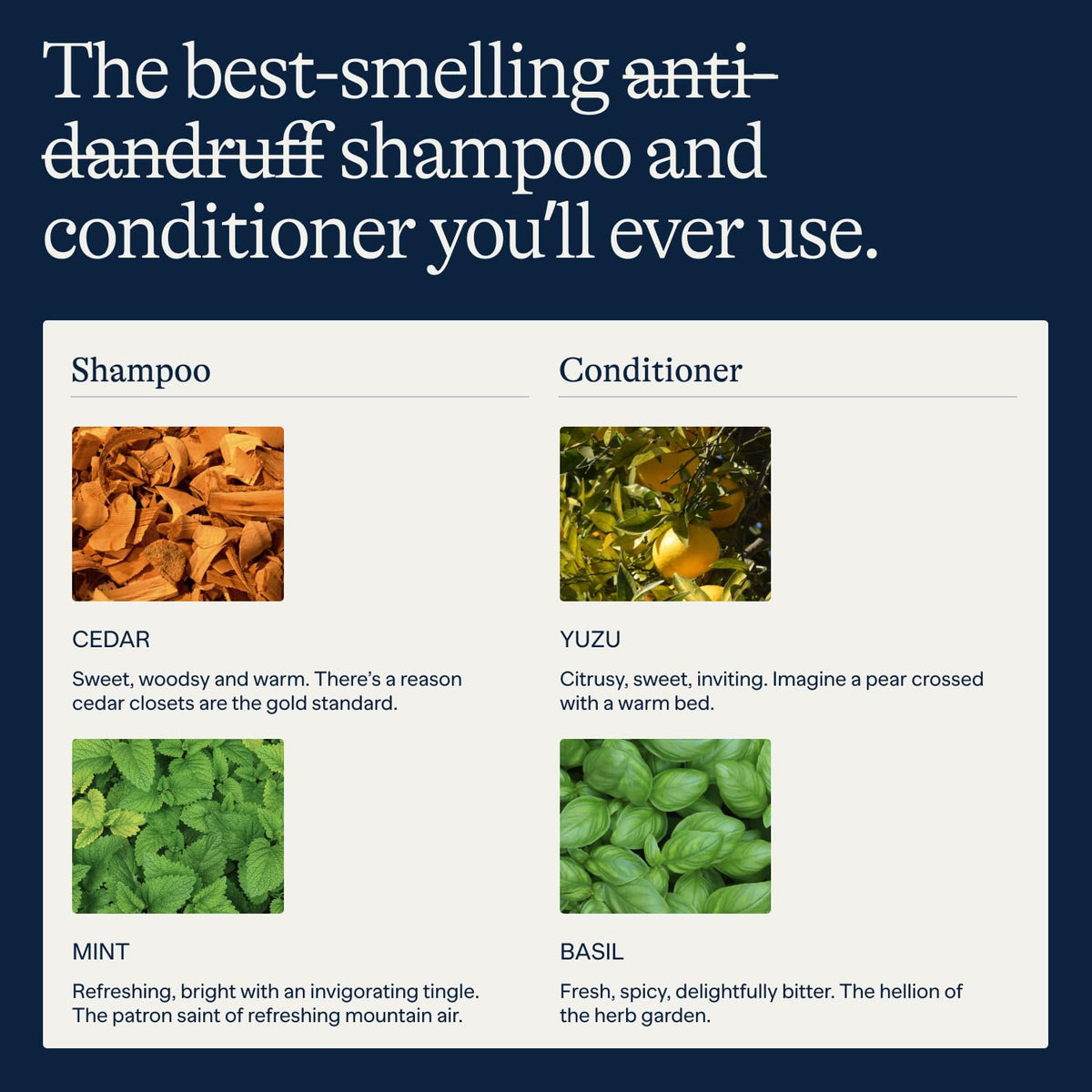Flakes Anti Dandruff Shampoo with peppermint leaves