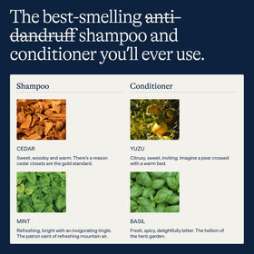 Flakes Anti Dandruff Shampoo with peppermint leaves