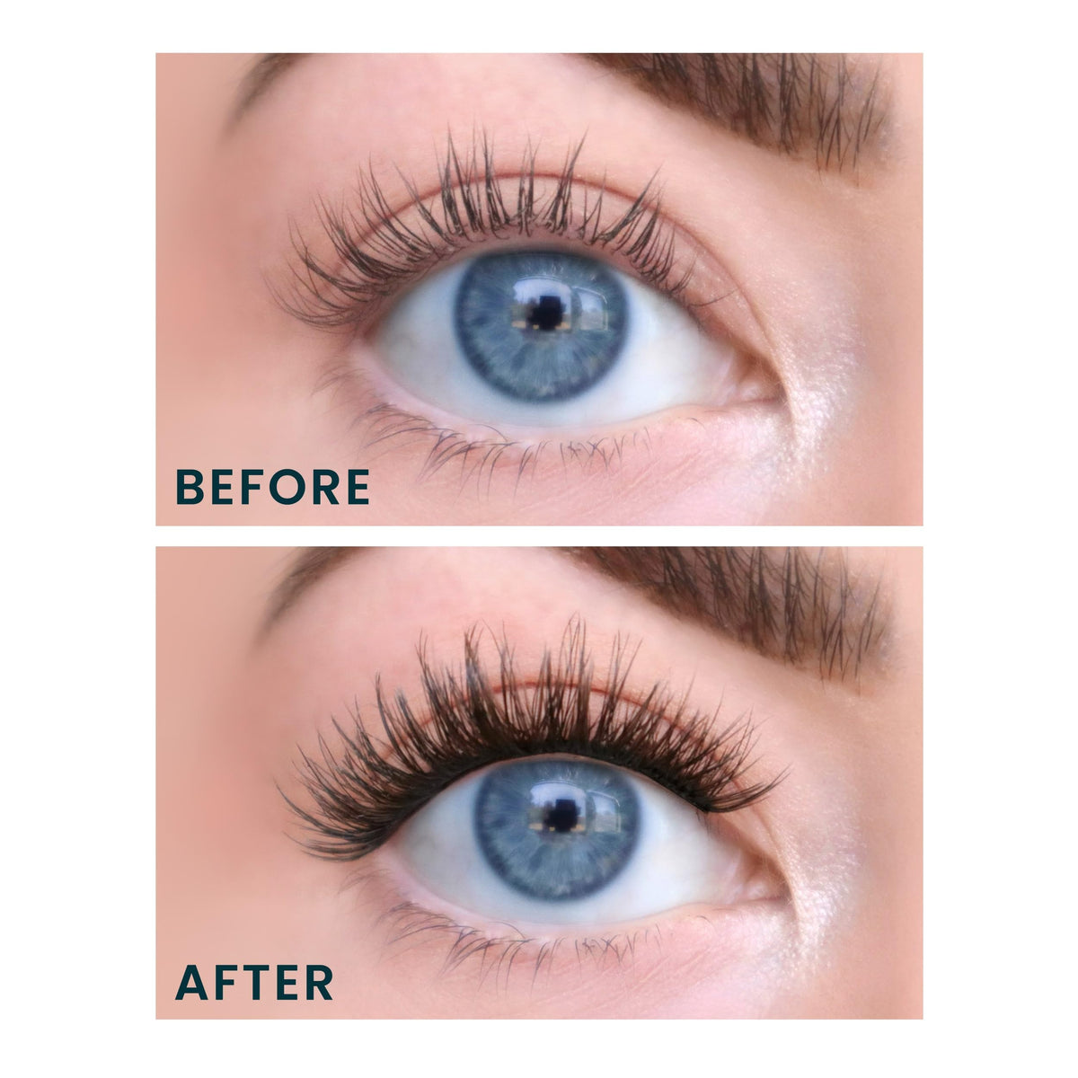 FlutterHabit Water Lily Lash Clusters side view showing lash length