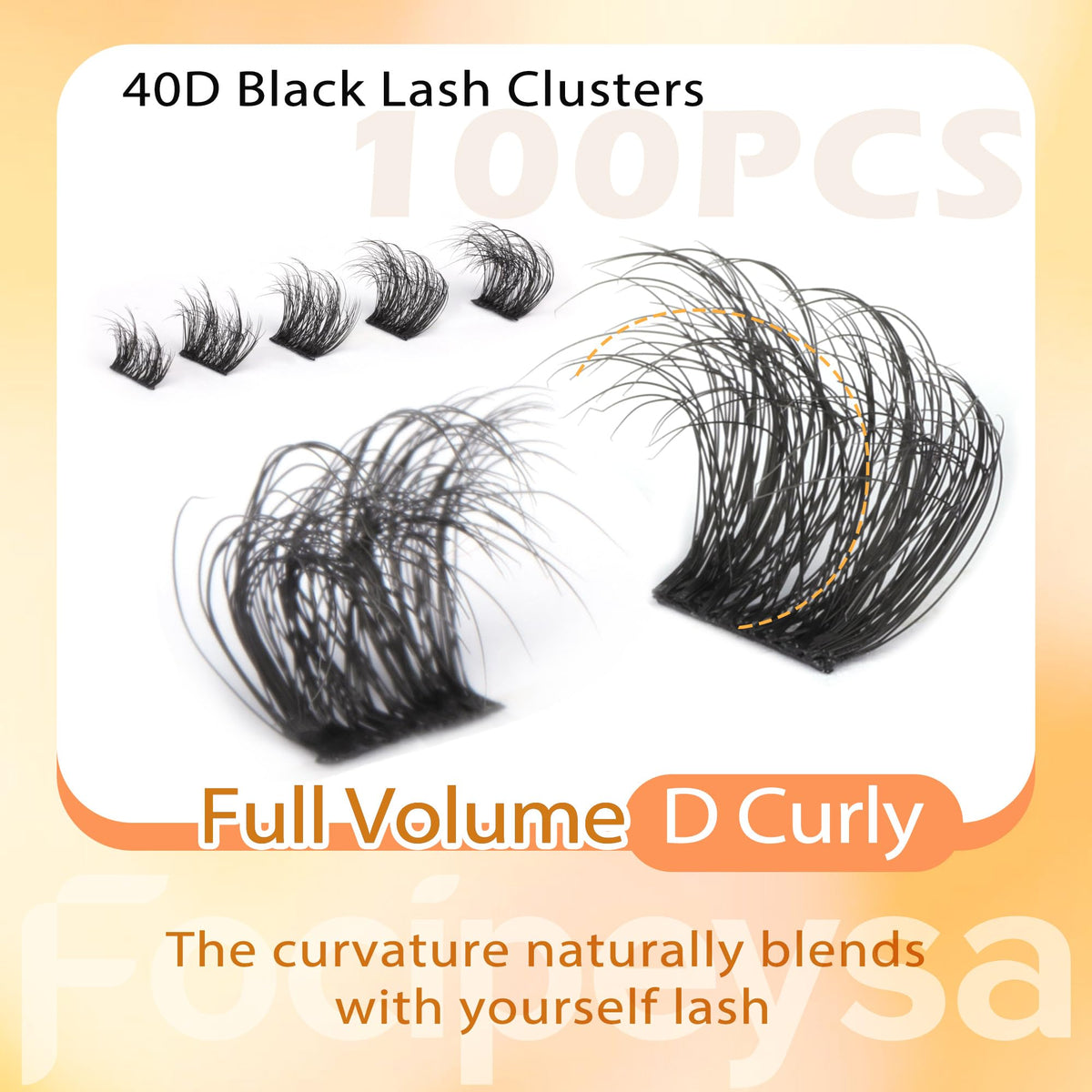 Focipeysa lash clusters displayed in a row