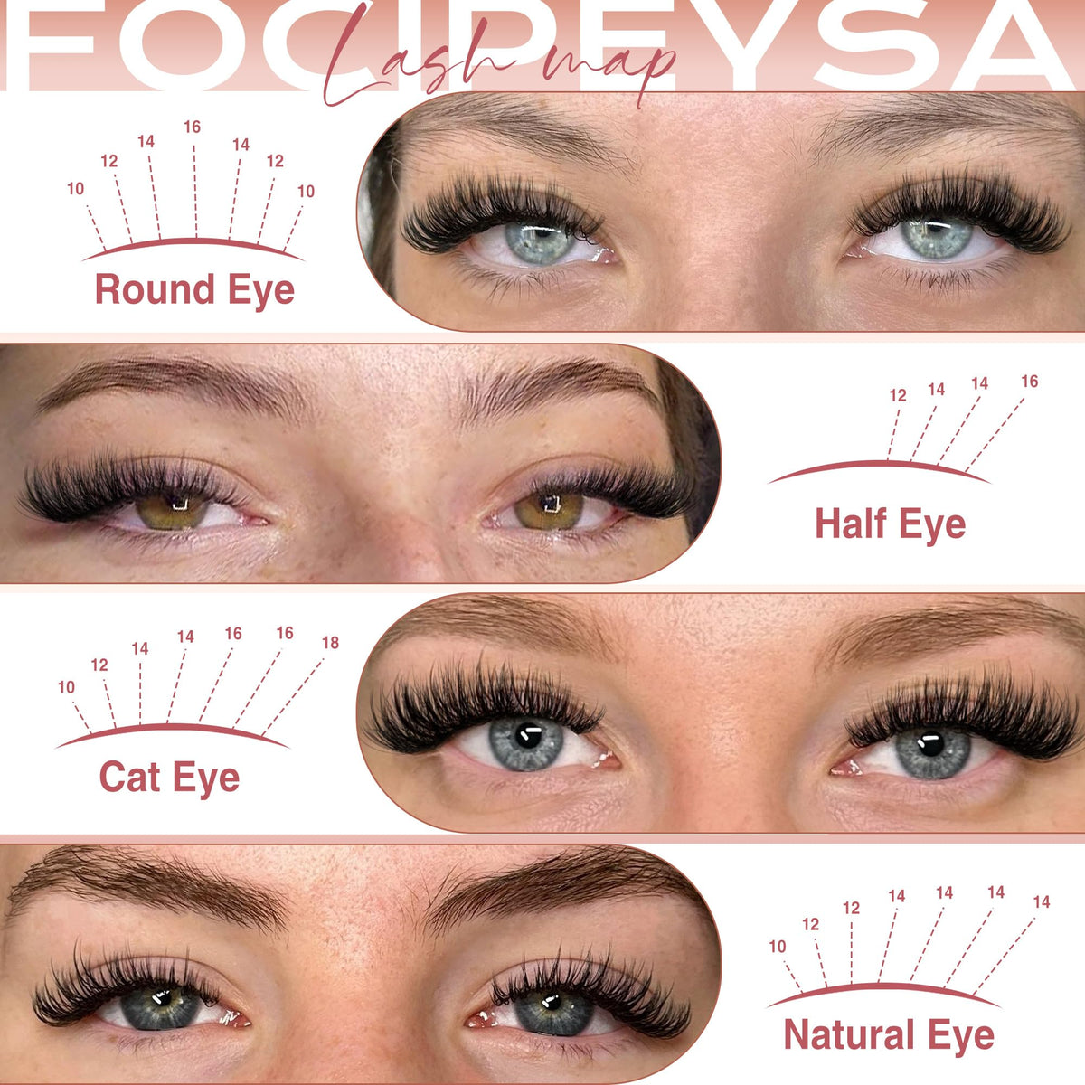 Focipeysa lash clusters displayed in packaging