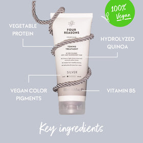 FOUR REASONS Color Mask Silver with a brush for application