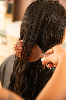 FRAMAR Chocolate Hair Brush Detangler showing bristles