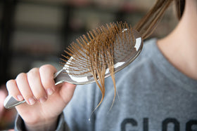 FRAMAR Cow Print Hair Brush Detangler on a vanity