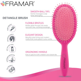 FRAMAR Detangling Brush in purple with Silver Lining