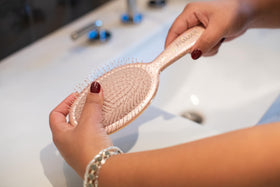 FRAMAR Glitter Hair Brush Detangler packaging display