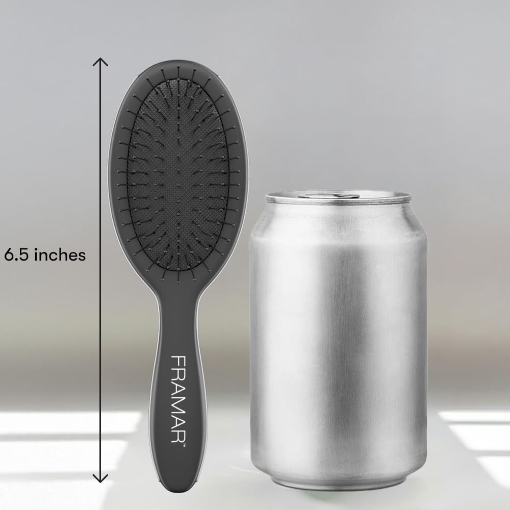 FRAMAR Mini Hair Brush Detangler with dry hair