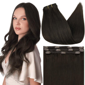 Full Shine 20 Inch Brown Clip in Hair Extensions front view