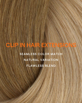Full Shine Clip in Hair Extensions 3 inch 2-clip pieces