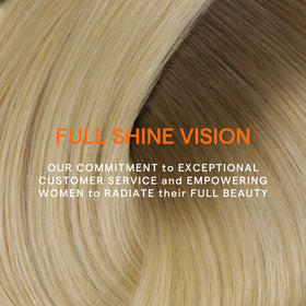 Full Shine Light Brown to Blonde Clip in Hair Extensions back view