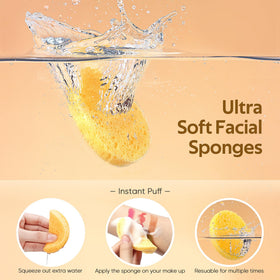 GAINWELL Compressed Facial Sponges in packaging
