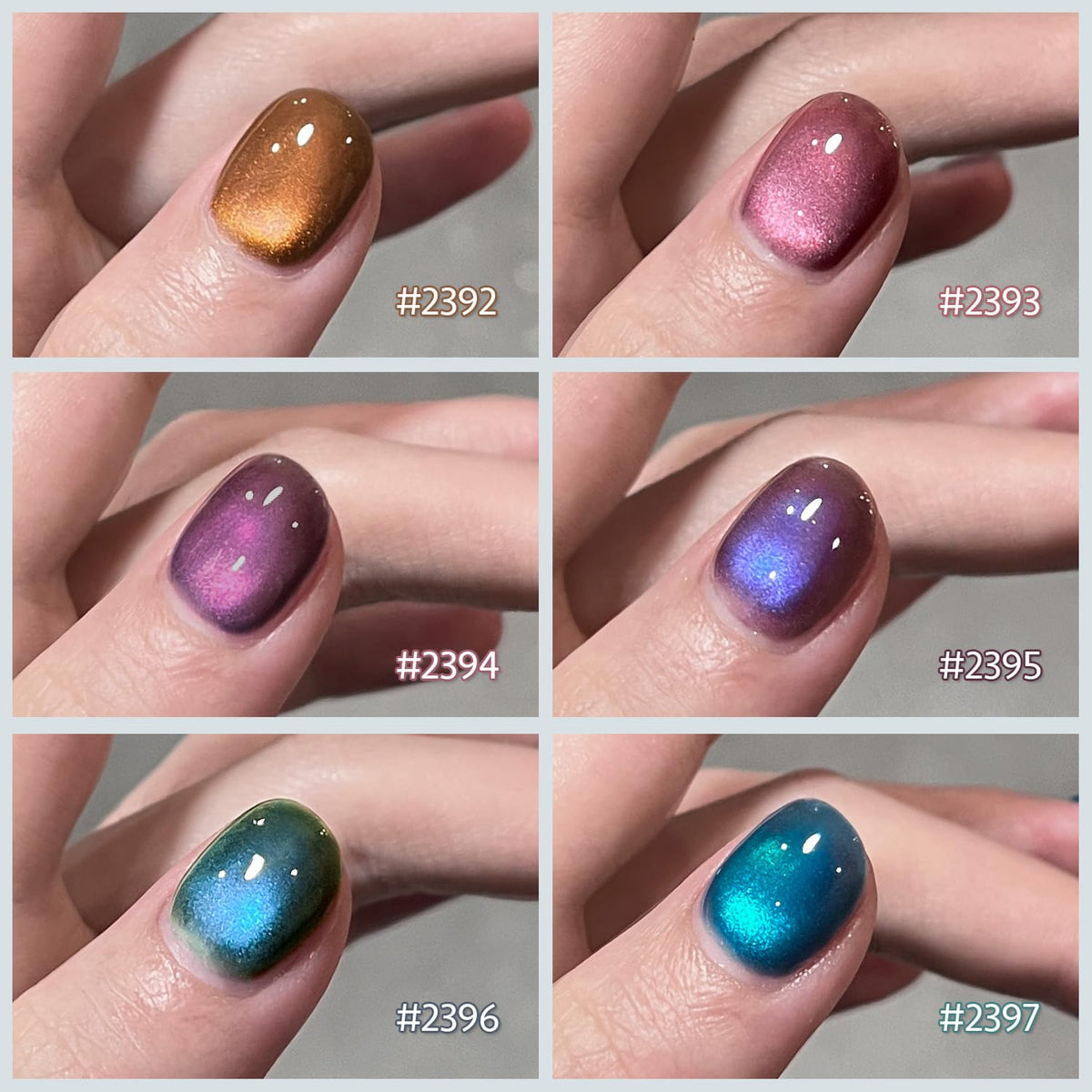 GAOY Glitter Cat Eye Gel Nail Polish packaging and contents