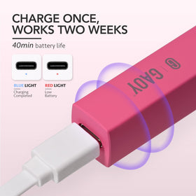 GAOY Handheld UV Light with charging cable and instructions