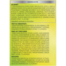 Garnier Nutrisse after colour mask tube with fruit oils