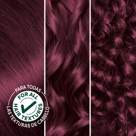 Garnier Nutrisse hair colour kit contents including developer and oil ampoule
