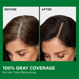 Garnier Nutrisse hair dye application process