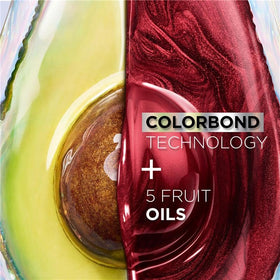 Garnier Nutrisse hair dye components including colorant and developer