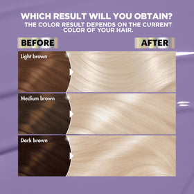 Garnier Nutrisse Ultra Color Hair Dye application instructions included in the kit