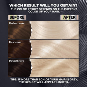 Garnier Nutrisse Ultra Color Hair Dye application process