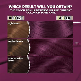 Garnier Nutrisse Ultra Color Hair Dye V2 Dark Intense Violet application process