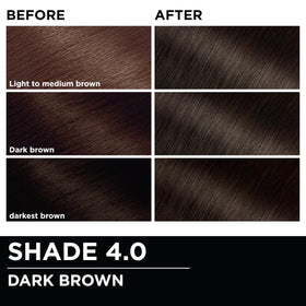 Garnier Olia color results on model