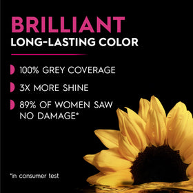 Garnier Olia Dark Soft Mahogany 4.15 hair dye application process
