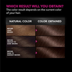 Garnier Olia Dark Soft Mahogany 4.15 ingredients list