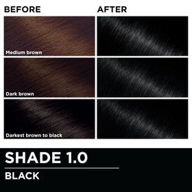 Garnier Olia Hair Color 1.0 Black with natural flower oils