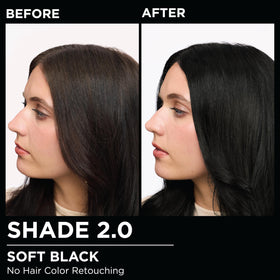 Garnier Olia Hair Color 2.0 Soft Black instruction sheet