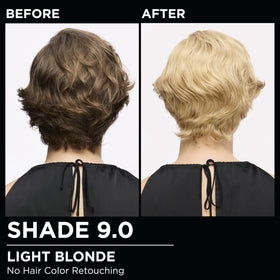 Garnier Olia Hair Color 9.0 Light Blonde instruction sheet