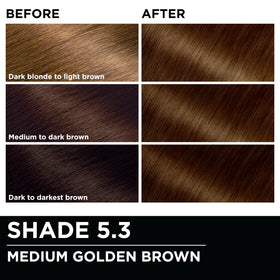 Garnier Olia hair color showing vibrant golden brown shade