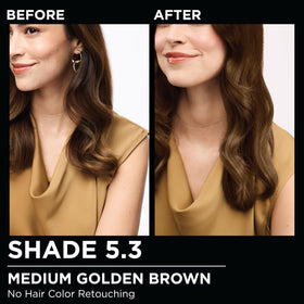 Garnier Olia hair dye packaging with oil blend details