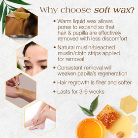 GIGI All Purpose Honee Soft Wax in travel bag