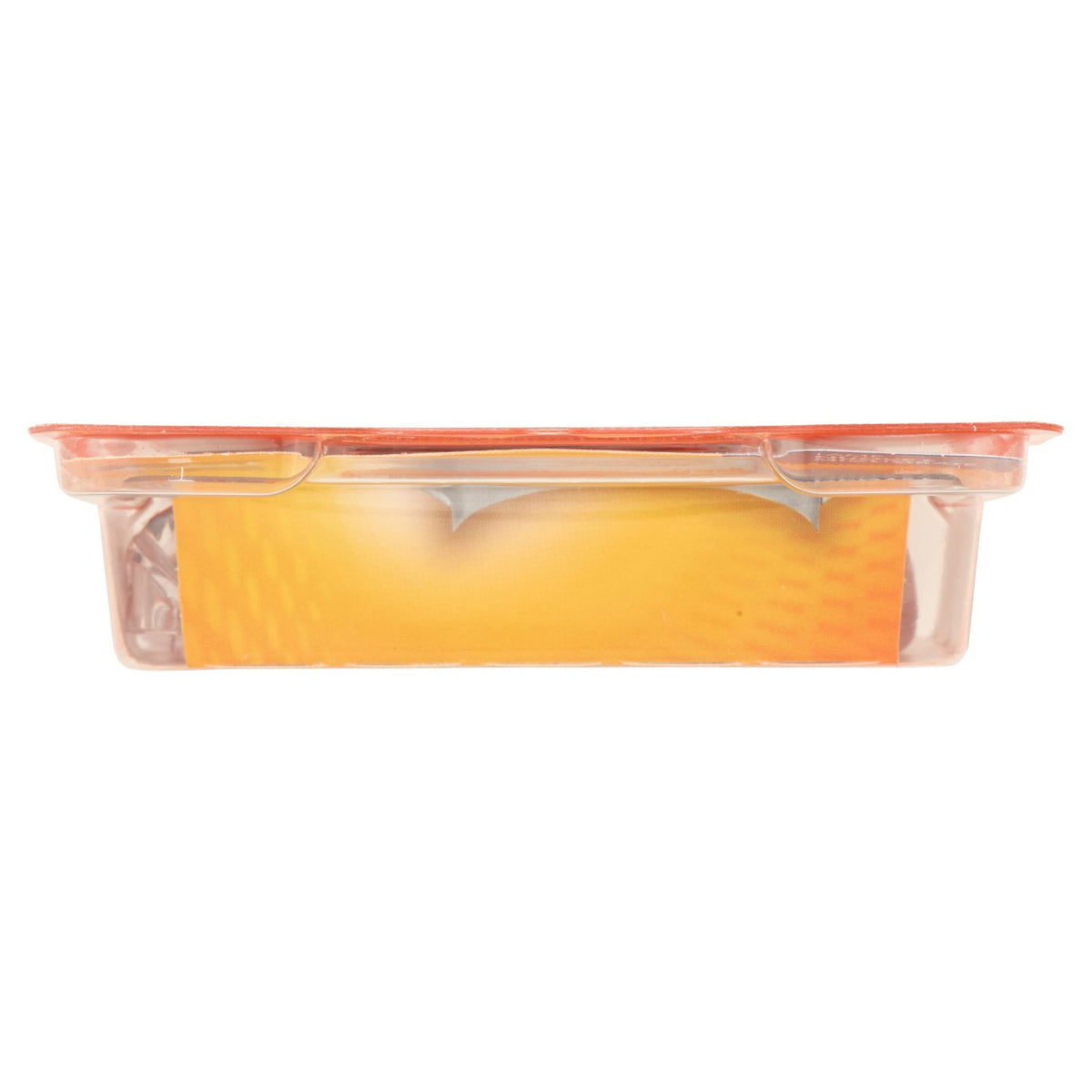 Gillette Fusion 5 Blades lubricating strip detail