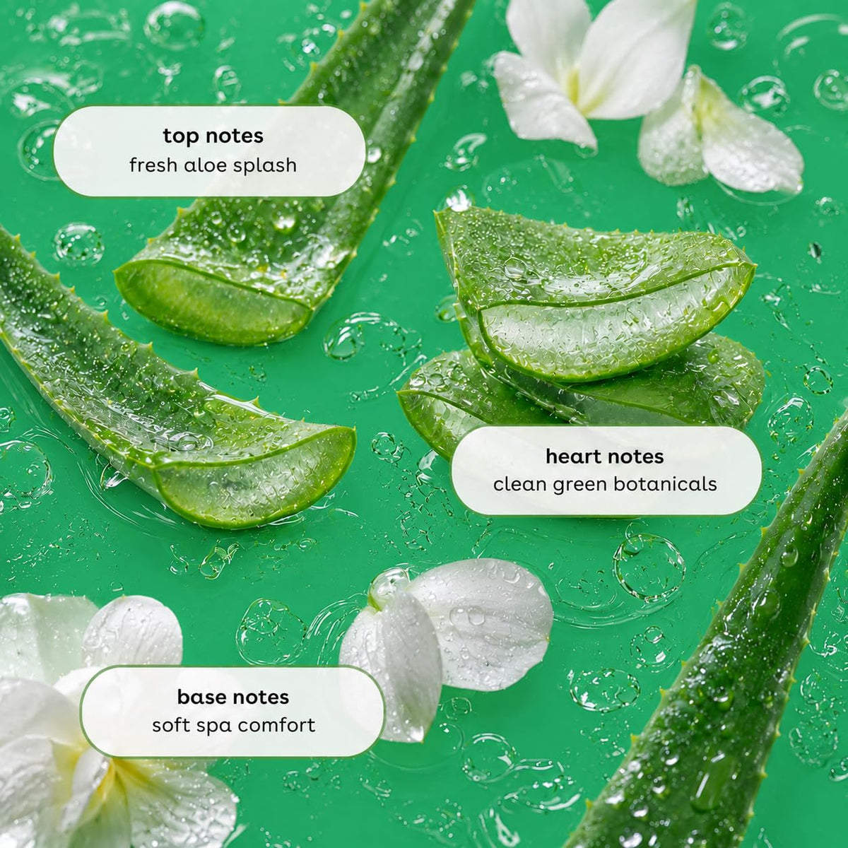 Ginger Lily Farms Aloe Vera Nourishing Body Wash with natural ingredients