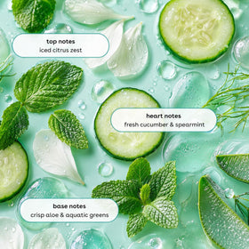 Ginger Lily Farms Botanicals Cucumber Mint Bliss Body Wash lathering on skin