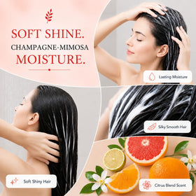 Ginger Lily Farms Champagne Mimosa Conditioner with aloe and flaxseed