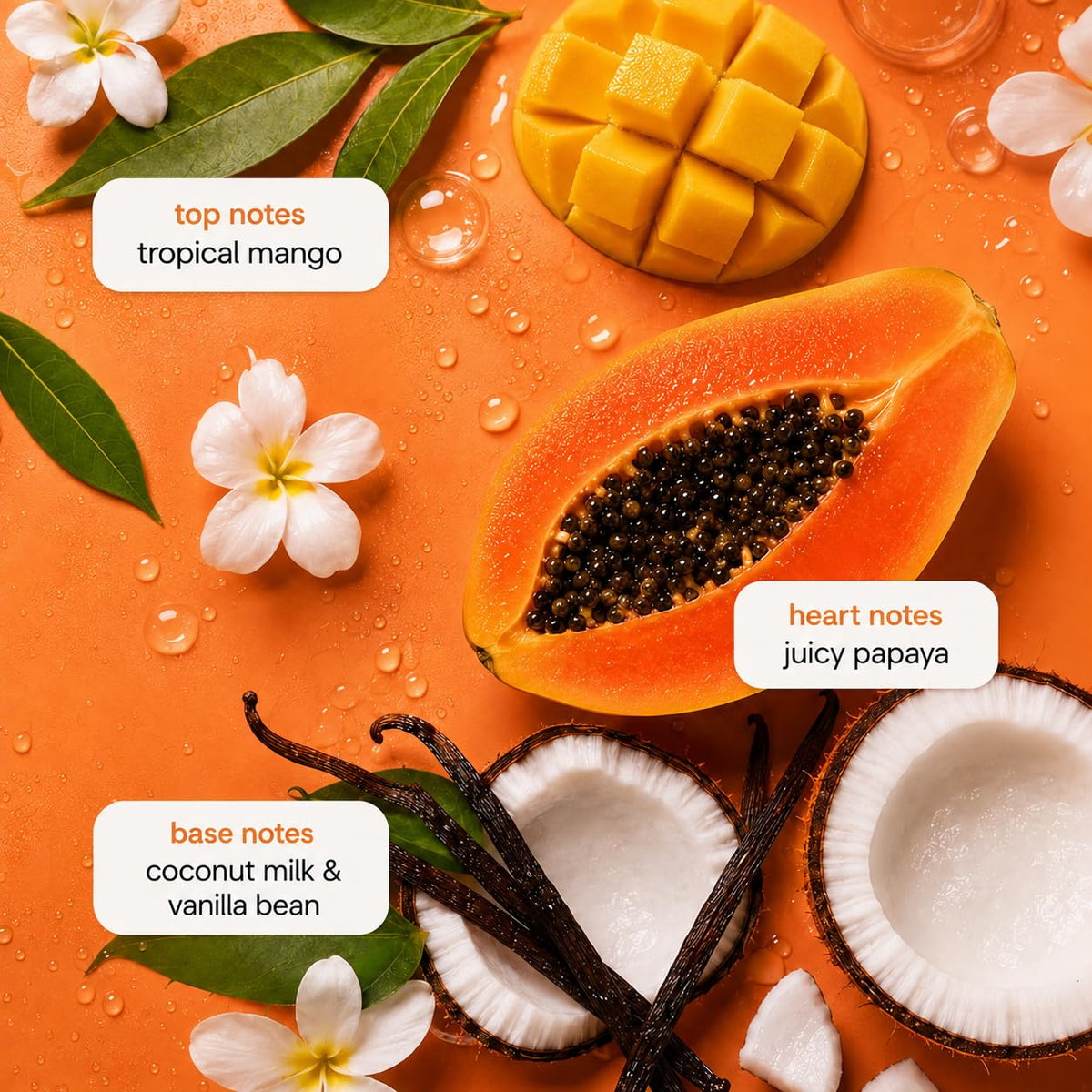 Ginger Lily Farms Coco Mango Shampoo refill size comparison