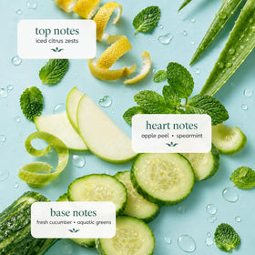 Ginger Lily Farms Cucumber Mint Bliss Shampoo with mint leaves