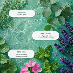 Ginger Lily Farms Eucalyptus Tranquility Conditioner pouring into hand