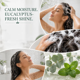 Ginger Lily Farms Eucalyptus Tranquility Shampoo in a shower caddy