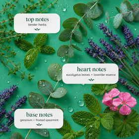 Ginger Lily Farms Eucalyptus Tranquility Shampoo pouring into hand