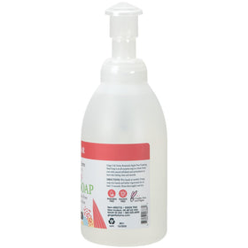 Ginger Lily Farms Foaming Hand Soap 20oz Apple Pear bottle with pump
