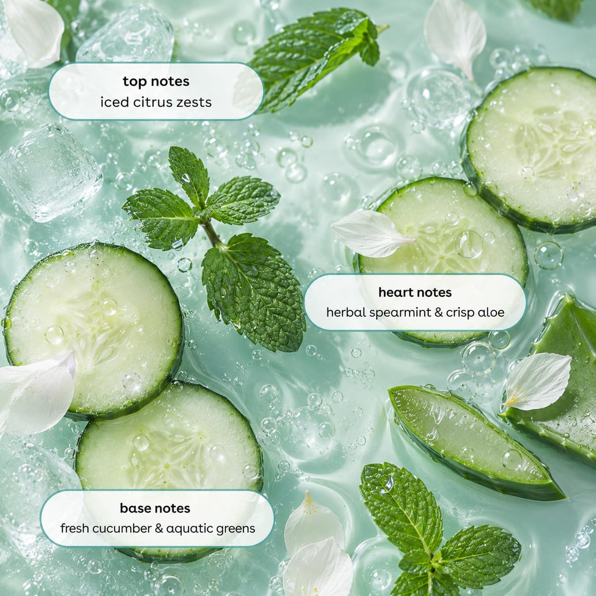Ginger Lily Farms Hand Soap Cucumber Mint Bliss 128oz with fresh cucumbers