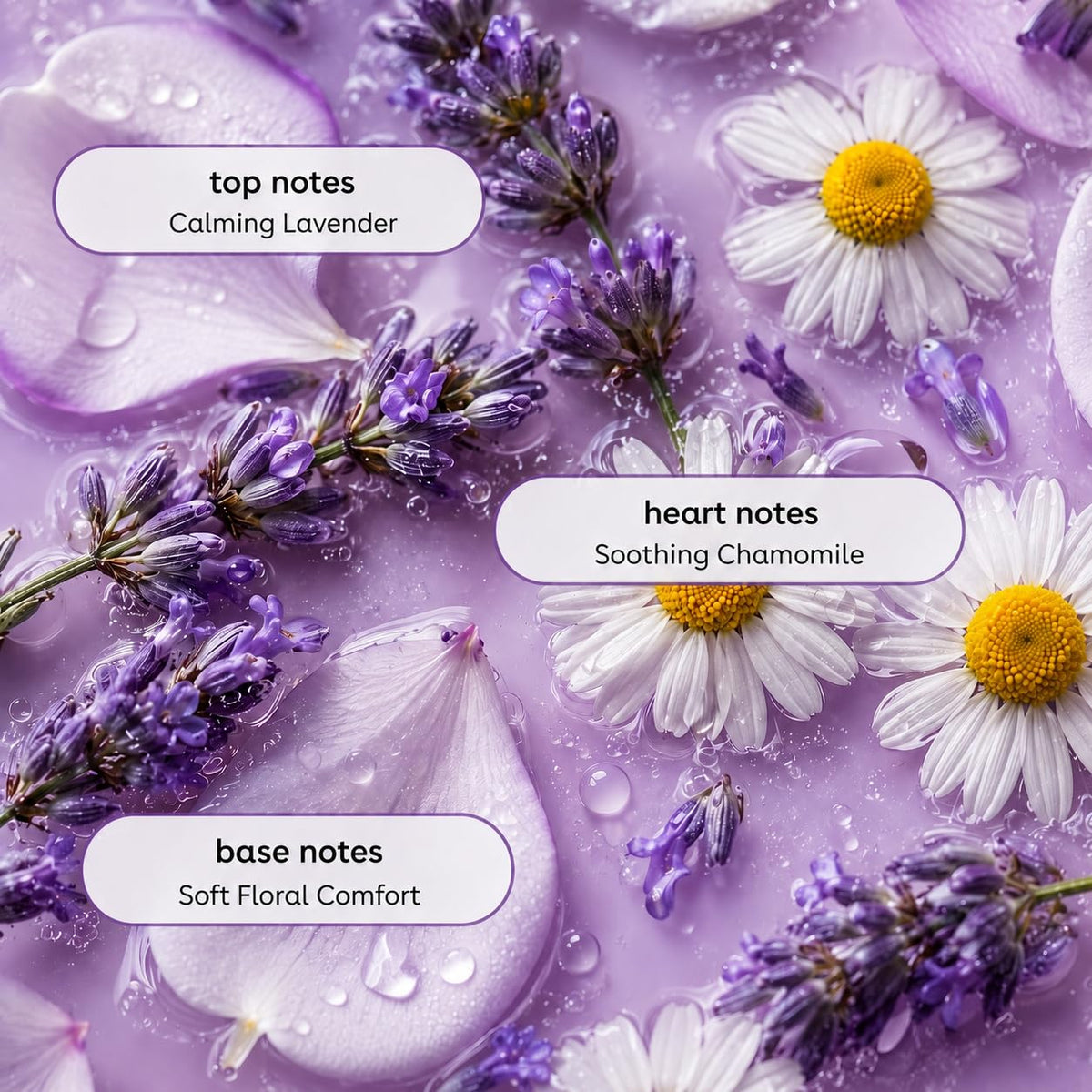 Ginger Lily Farms Lavender Chamomile Conditioner ingredients list close-up