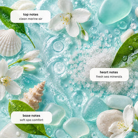 Ginger Lily Farms Ocean Breeze Body Wash with ocean background