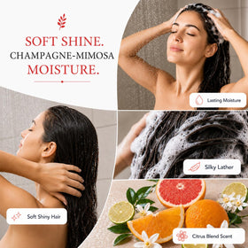 Ginger Lily Farms Shampoo with lather on hair